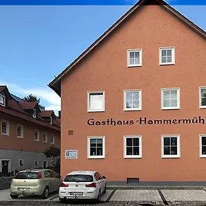 Landgasthof-hotel Hammermühle *** Donaustauf